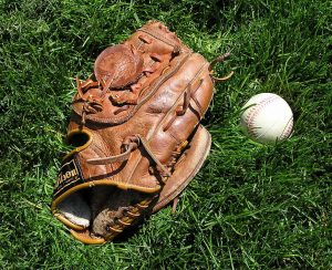 can you use mink oil on baseball gloves